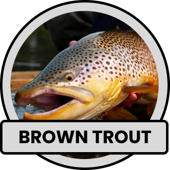 mouth tobacco Spit it, then quit it: Dippers encouraged to stop smokeless tobacco use for Great American Spit Out mouth tobacco Spit it, then quit it: Dippers encouraged to stop smokeless tobacco use for Great American Spit Out